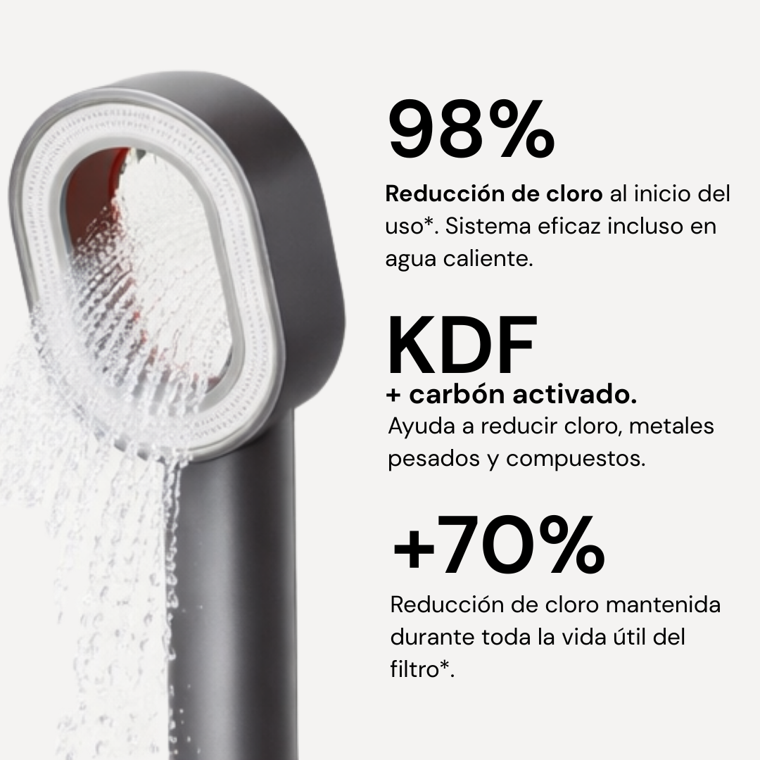Shower head with purifying filter