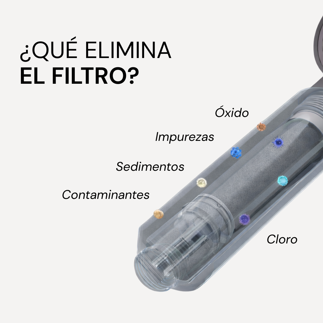 Shower head with purifying filter