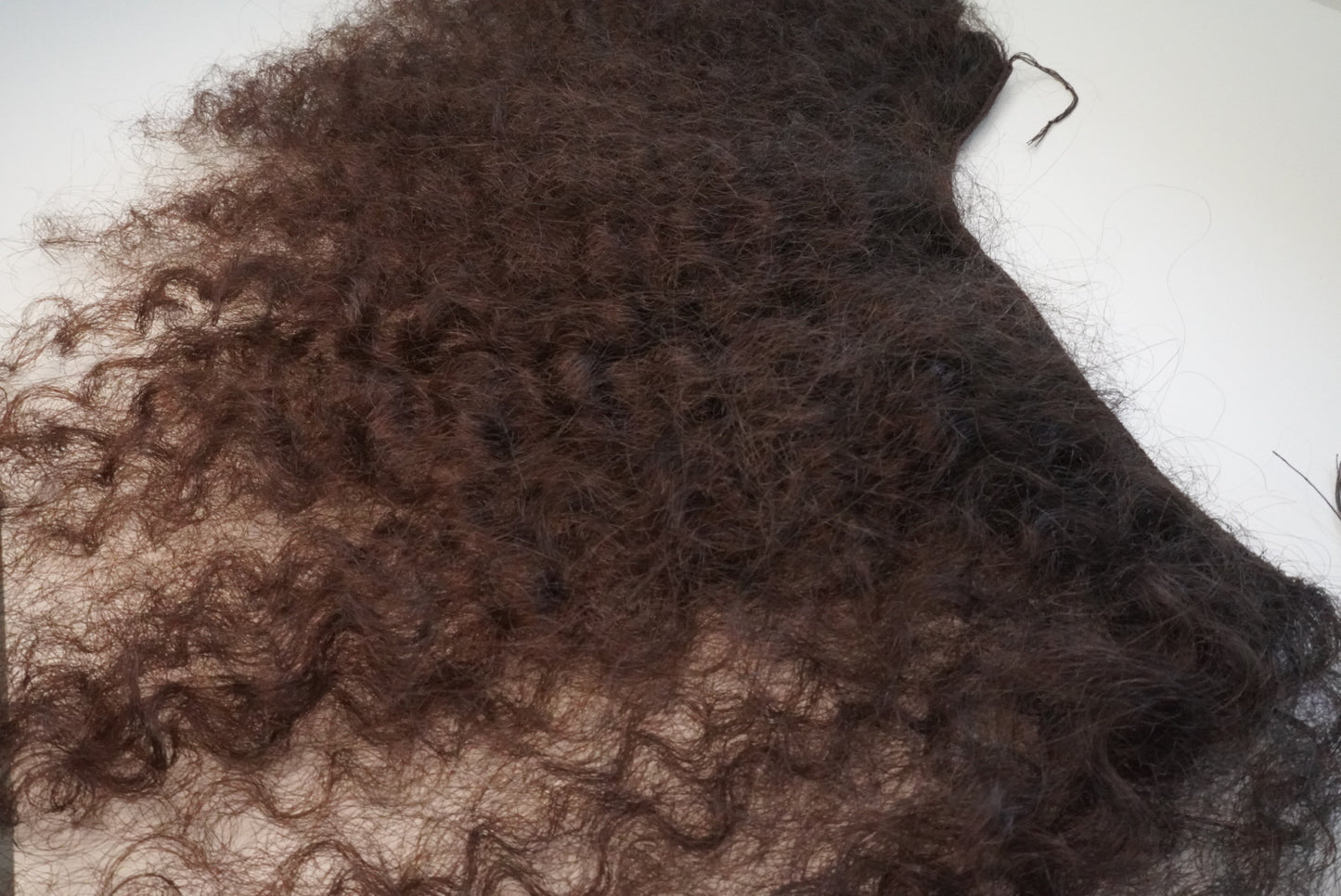 Lionelle.extensions – Luxury Single Donor Hair Extensions