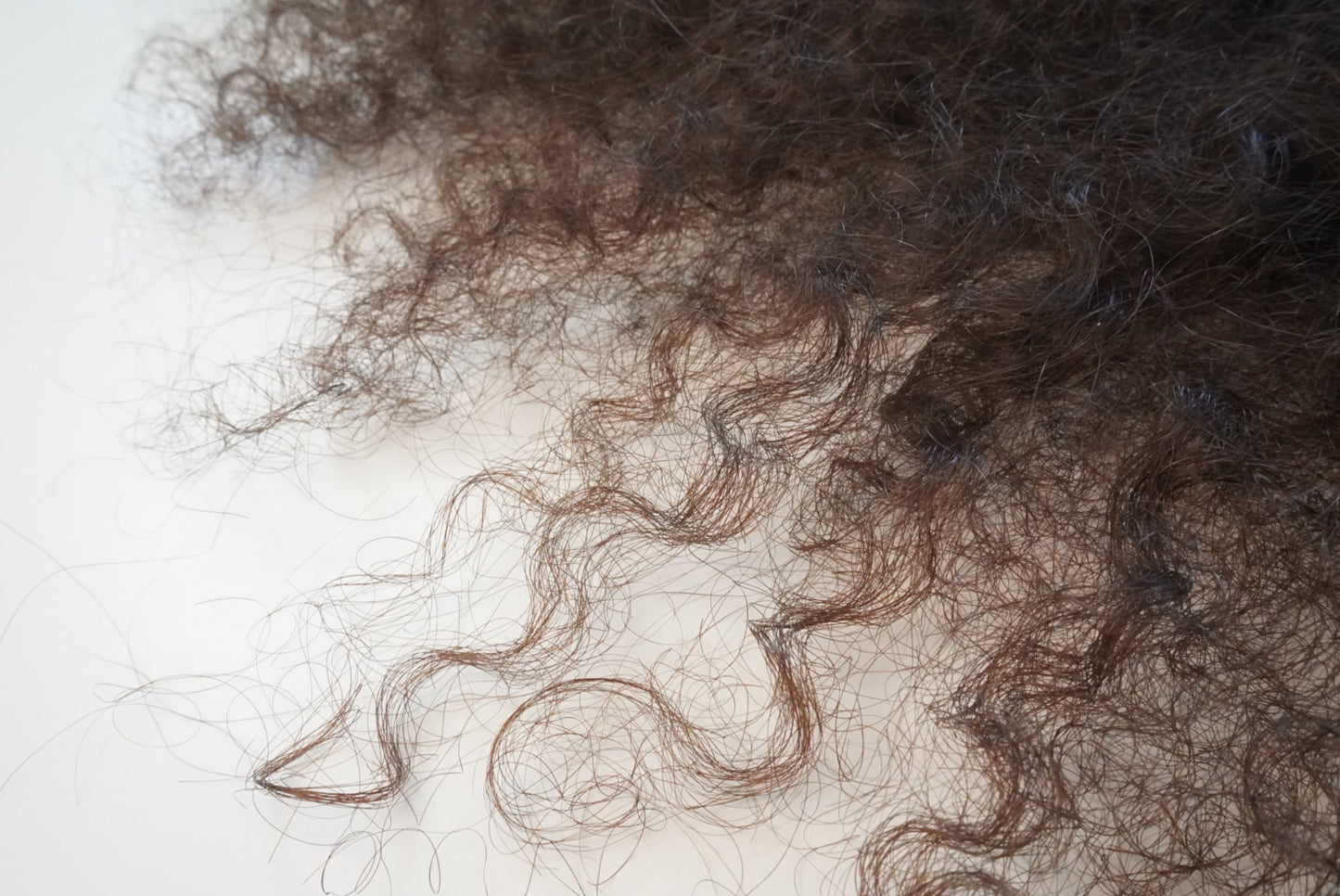 Lionelle.extensions – Luxury Single Donor Hair Extensions